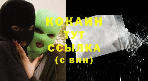 индика Осташков