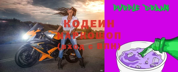 индика Осташков