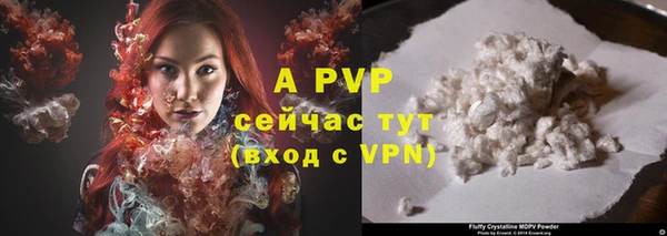 твердый Пересвет
