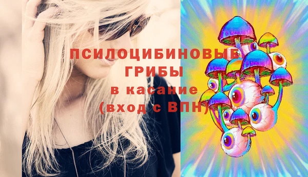 гашик Абаза