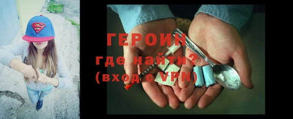 индика Осташков