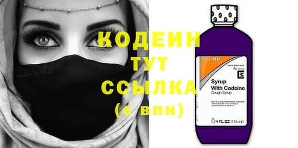 индика Осташков