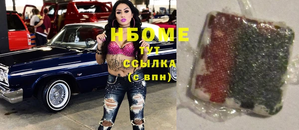 индика Осташков
