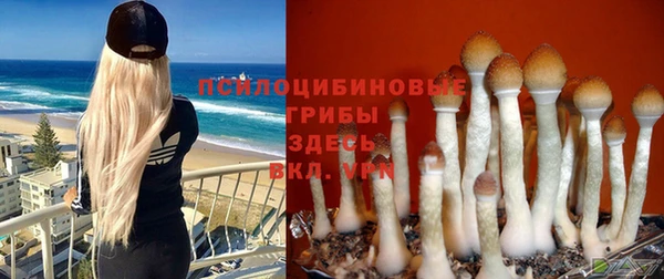 синтетический гашиш Абинск