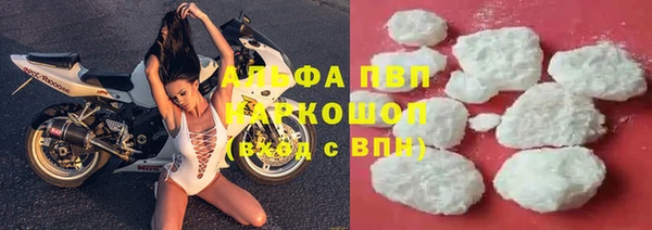 спиды Осинники