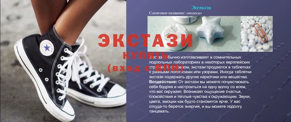 индика Осташков