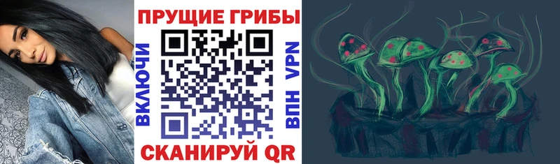 Псилоцибиновые грибы MAGIC MUSHROOMS  Заринск 